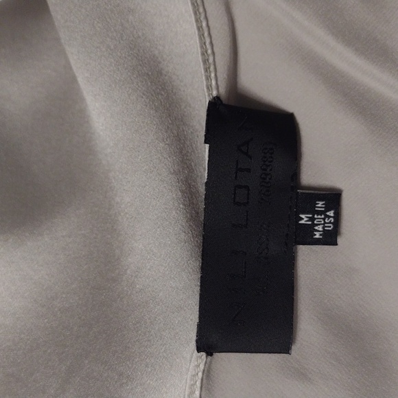 NEW NWOT Nili Lotan 100% Silk Short Cami Dress Pale Silver Silk Size Medium - Picture 14 of 16